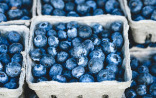 blueberries in brown case