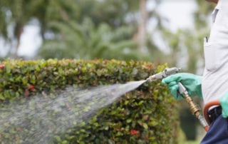 Copesan technician spraying a garden bush.